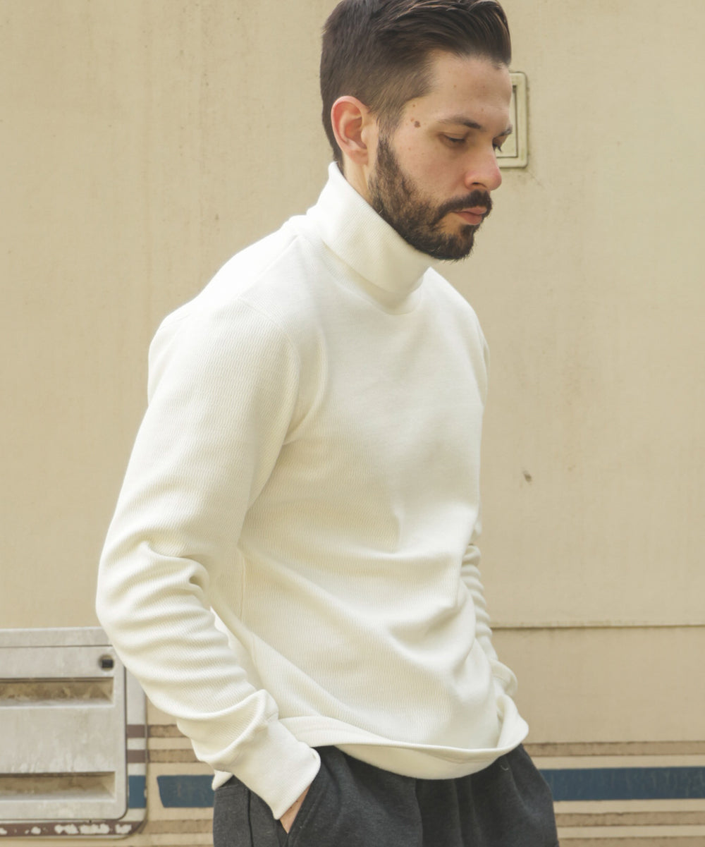 HEAT THERMAL / STANDARD TURTLE NECK SHIRT / M253141